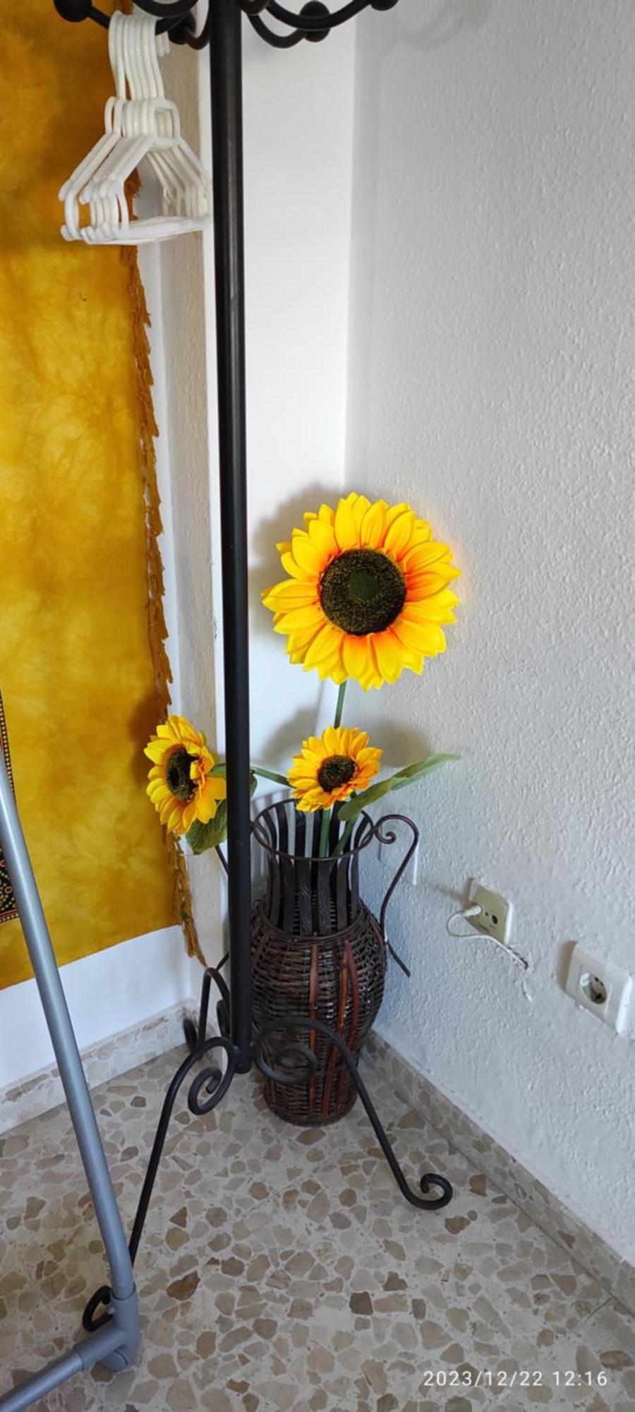 Apartment Luminoso El Morche